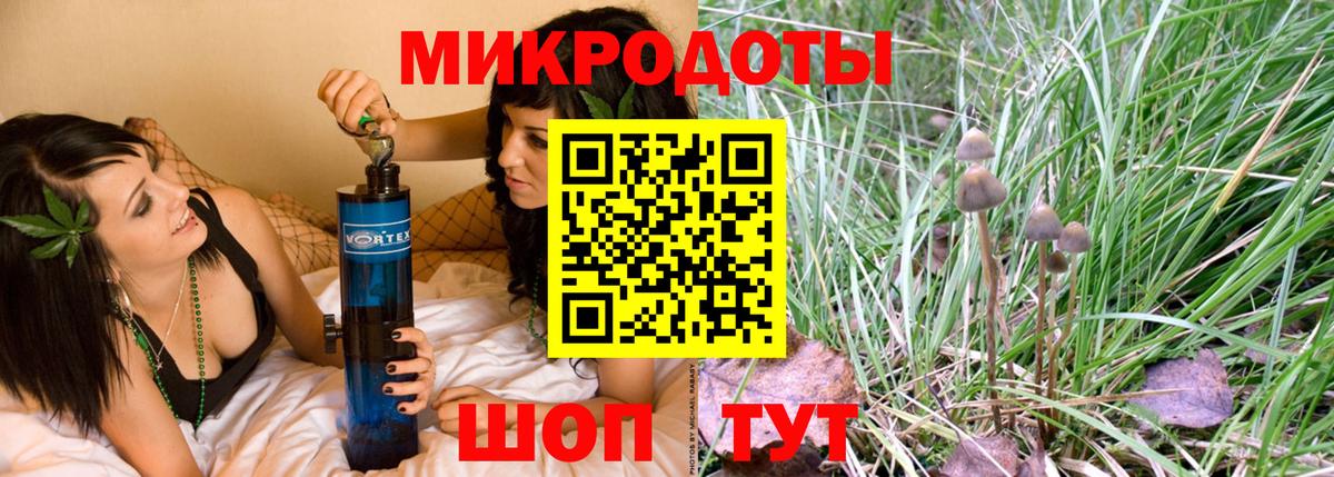 Псилоцибиновые грибы ЛСД Кингисепп